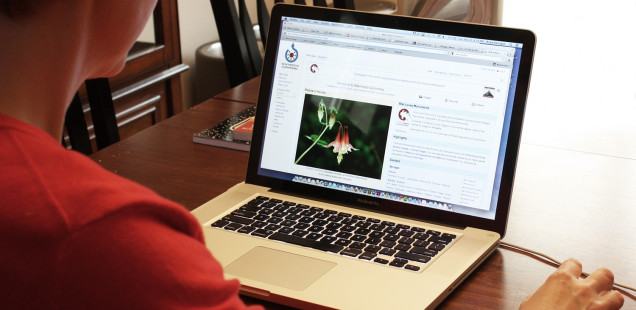 Wiki wars: seven bizarre changes to City's Wikipedia pages, from Ghandi to needless swearing